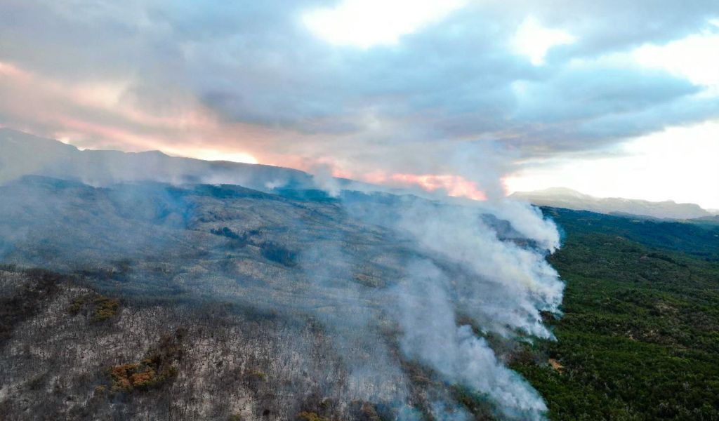 Bomberos combaten incendio “fuera de control” en parque argentino