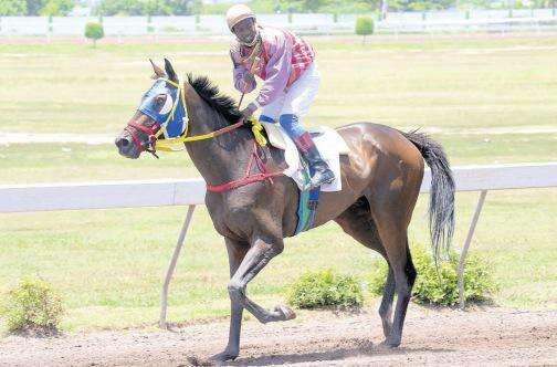 Six Chase James B Dawes Memorial Trophy - Jamaica Observer