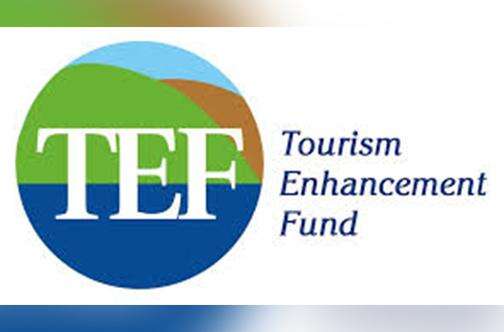 TEF Spends $2m To Finance TPDCo Summer Internship - Jamaica Observer