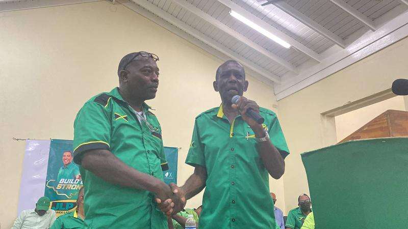 Hutchinson vows JLP will win more divisions in St Elizabeth - Jamaica ...