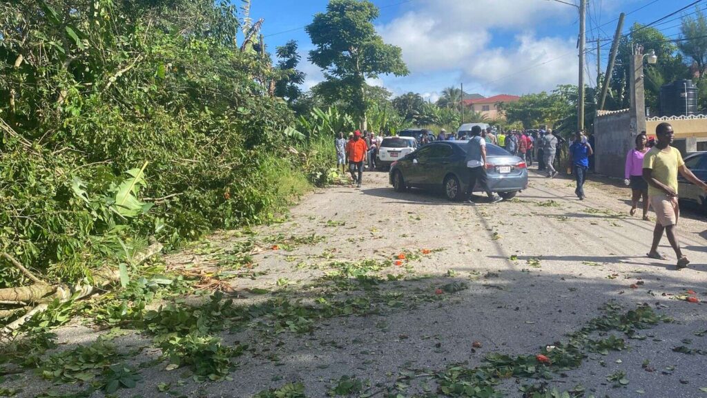 Update Cabbies Protest Over Alleged Police Harassment Reiterate Call