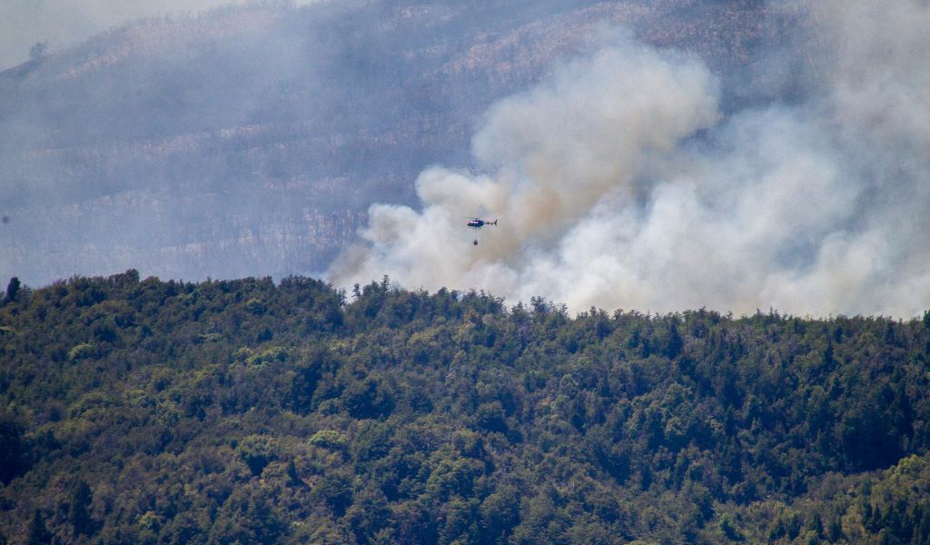 Fire In Argentina UNESCO Park Caused By Arson Official Jamaica Observer   Argentina 