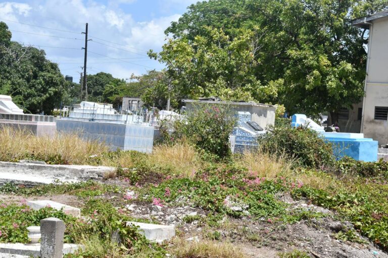 Neglect of public cemeteries reflects disrespect for Jamaicans ...