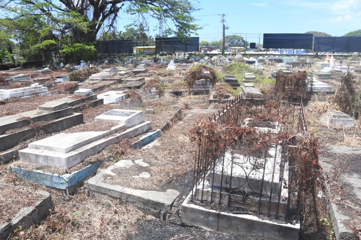 Councillor calls for tax on funeral homes to maintain cemeteries ...