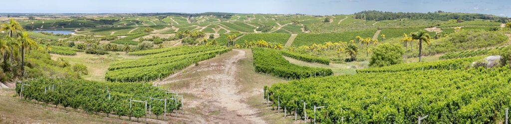 Southern Charm (Part 1): Uruguay’s Bodega Garzón