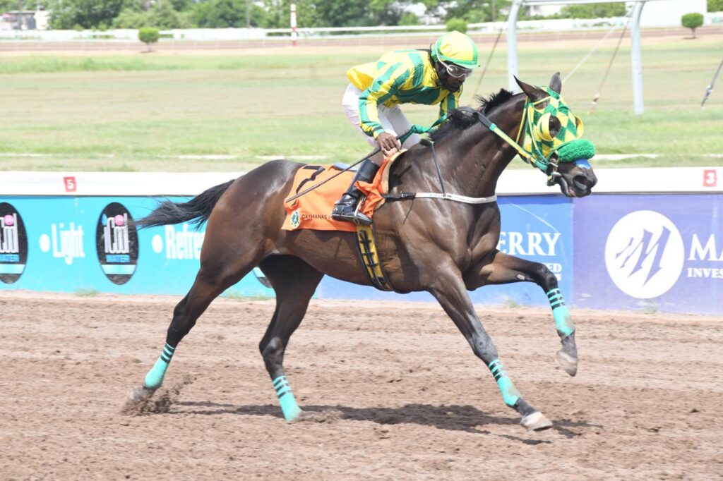 Morris scores first 2024 win with Lion of Ekati – Jamaica Observer